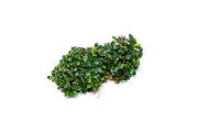 Bucephalandra Starglitz Bucephalandra - Buce Plant
