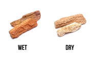Burmese Petrified Wood stone from UNSHARDSCAPE showing detailed, polished wood grain patterns in a natural stone form.