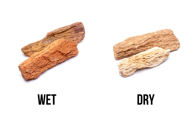 Burmese Petrified Wood stone from UNSHARDSCAPE showing detailed, polished wood grain patterns in a natural stone form.