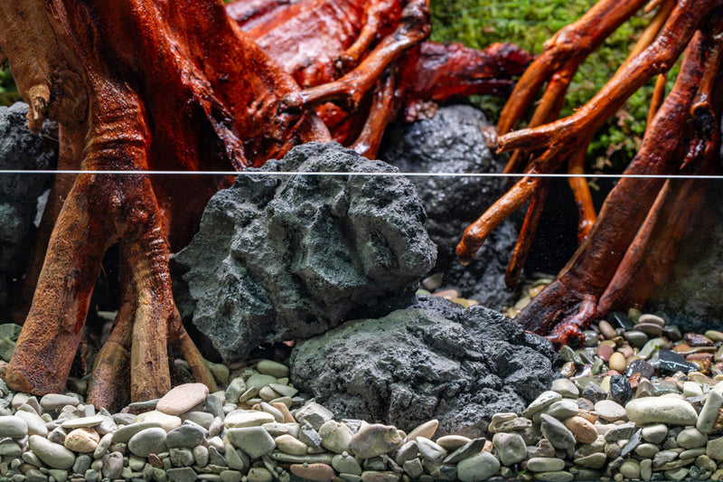 Chameleon Stone