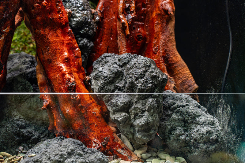 Chameleon Stone
