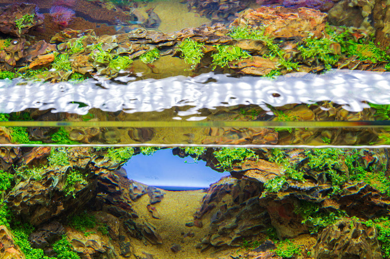 Chihiros A II Max Series LED light for aquarium lighting, featuring sleek design and adjustable brightness for aquatic environments.