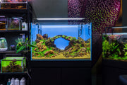 Chihiros A II Max Series LED lighting fixture for aquariums, featuring sleek design and adjustable light settings.