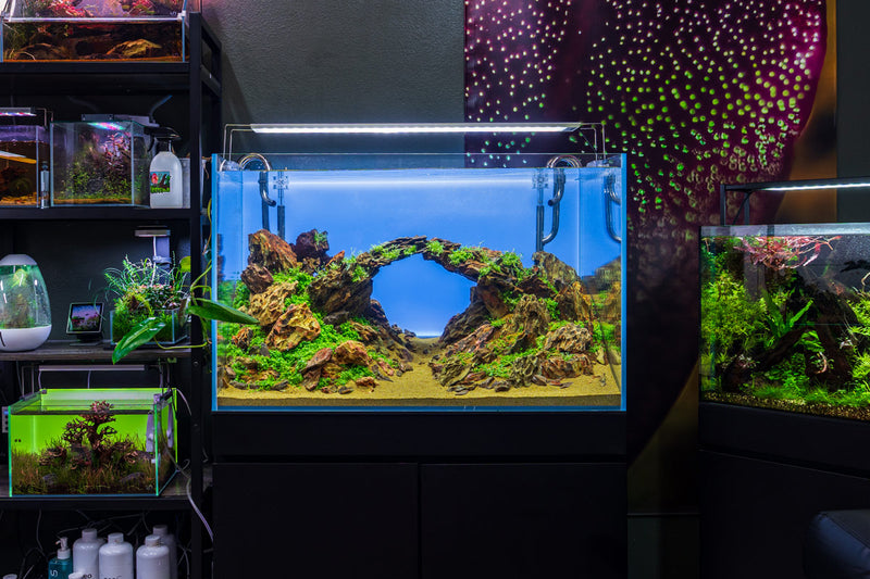 Chihiros A II Max Series LED lighting fixture for aquariums, featuring sleek design and adjustable light settings.