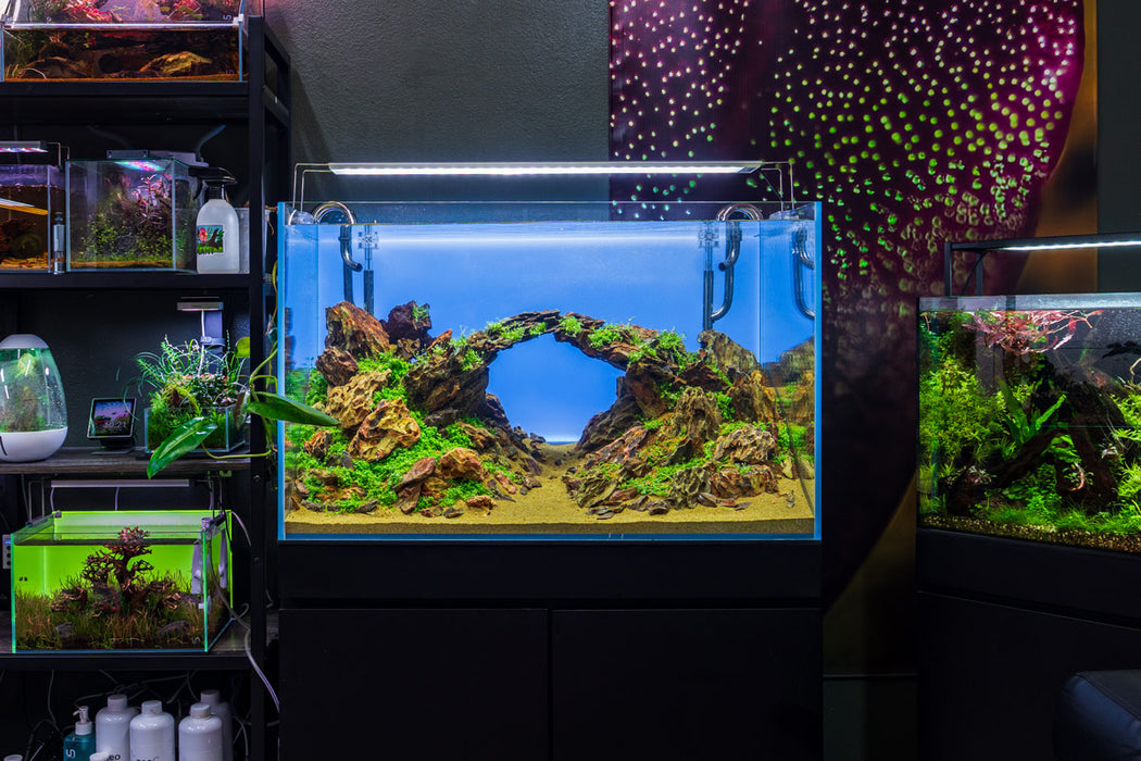 Chihiros A II Max Series LED lighting fixture for aquariums, featuring sleek design and adjustable light settings.