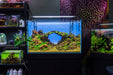 Chihiros A II Max Series LED lighting fixture for aquariums, featuring sleek design and adjustable light settings.