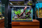 Chihiros B Series LED light for aquarium lighting, featuring sleek design and adjustable brightness for vibrant aquatic environments.