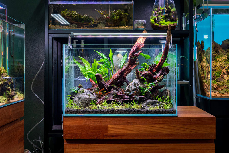Chihiros B Series LED light for aquarium lighting, featuring sleek design and adjustable brightness for vibrant aquatic environments.