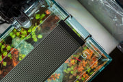 Chihiros B Series LED light for aquarium lighting, featuring sleek design and adjustable brightness for vibrant aquatic environments.