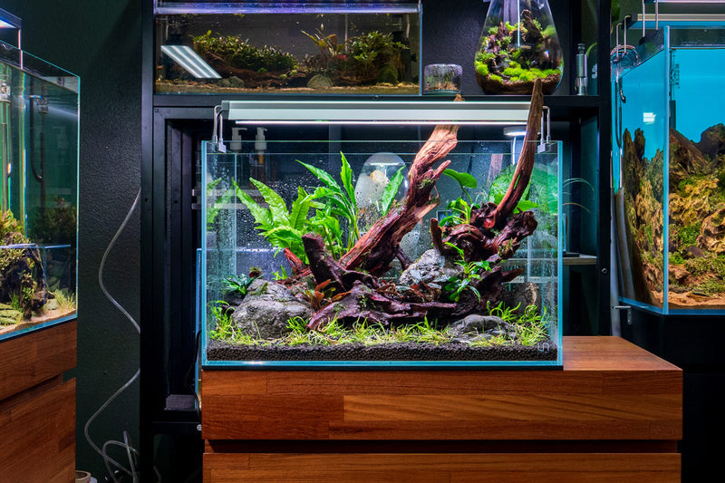 Chihiros B Series light shade with mirror for aquarium lighting, featuring a sleek design and reflective surface.
