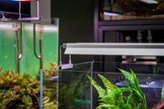 Chihiros B Series Light Shade with Mirror for aquarium lighting, showcasing a sleek, reflective design for optimal light distribution.