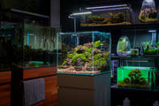Chihiros CII Series RGB LED Light for aquarium lighting, showcasing adjustable color spectrum and sleek design.