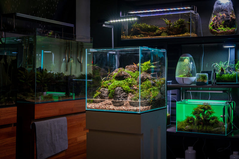 Chihiros CII Series RGB LED Light for aquarium lighting, showcasing adjustable color spectrum and sleek design.