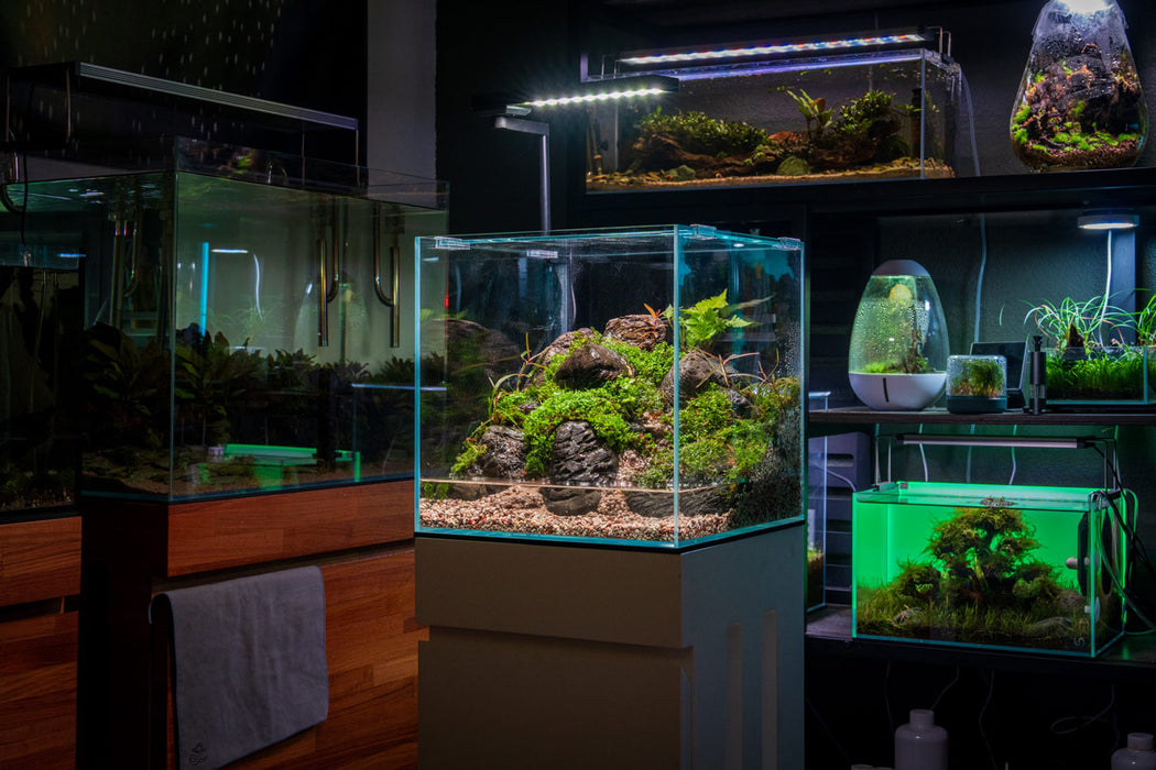 Chihiros CII Series RGB LED Light for aquarium lighting, showcasing adjustable color spectrum and sleek design.