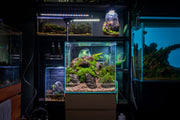 Chihiros CII Series RGB LED Light for aquarium lighting, showcasing adjustable color settings and sleek design.