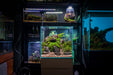 Chihiros CII Series RGB LED Light for aquarium lighting, showcasing adjustable color settings and sleek design.
