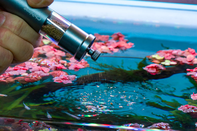 Chihiros Fish Food Feeder Accessories - Buce Plant