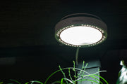 Chihiros Magnetic Light 2, a sleek LED lighting device with magnetic mount for aquarium illumination, branded by Chihiros.