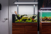 Chihiros RGB Vivid & WRGB light stand for aquarium lighting, featuring adjustable LED system on a sleek black stand.