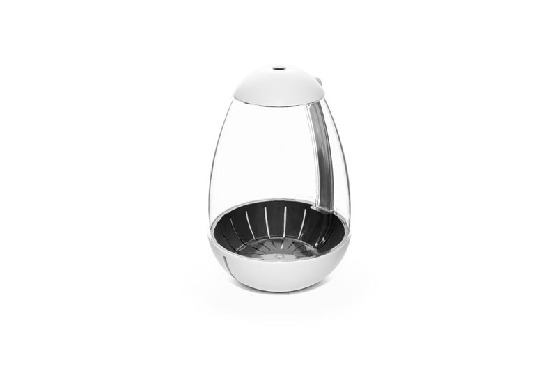 Chihiros Tiny Terrarium Egg, small glass terrarium with lush green plants inside, ideal for desktop or office decor.