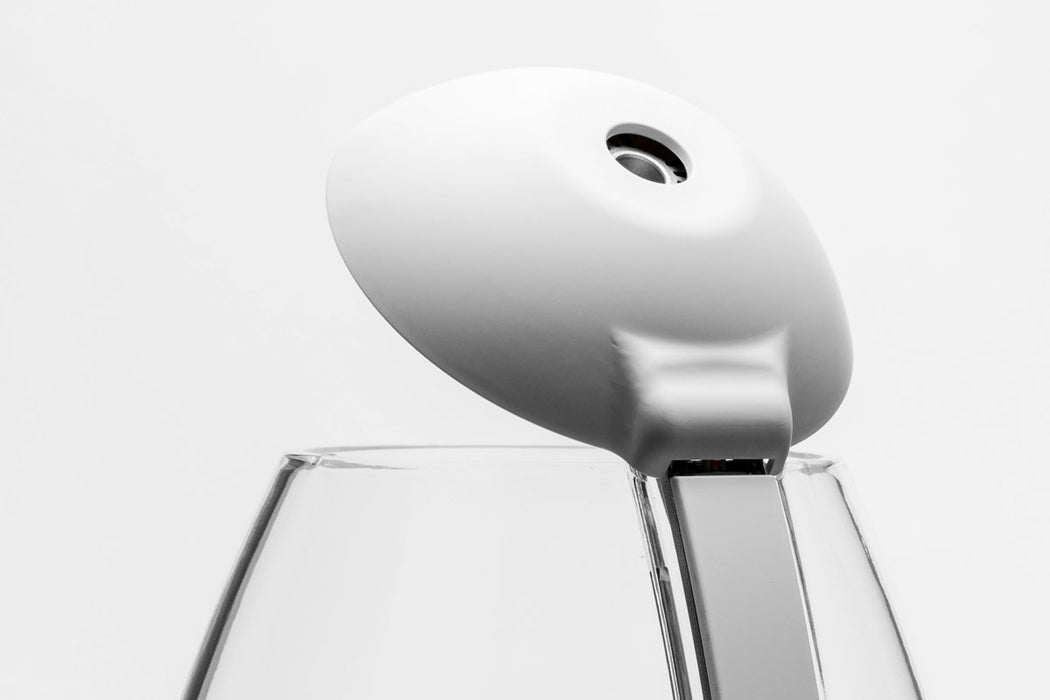 Chihiros Tiny Terrarium Egg, clear glass mini terrarium with a rounded egg shape and small opening for plants or decorative items