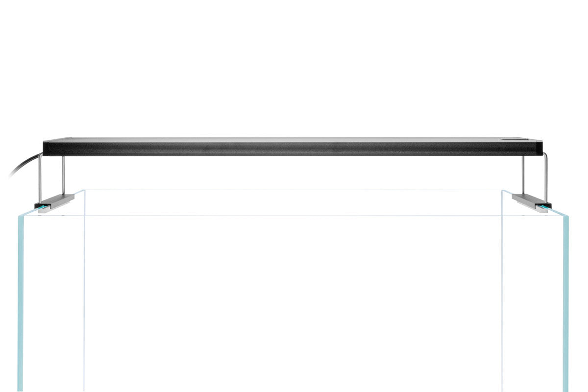 Chihiros WRGB II LED - High-Output Planted Aquarium Light — Buce Plant