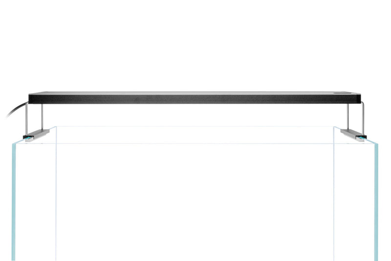 Chihiros WRGB II LED Light Lighting - Buce Plant
