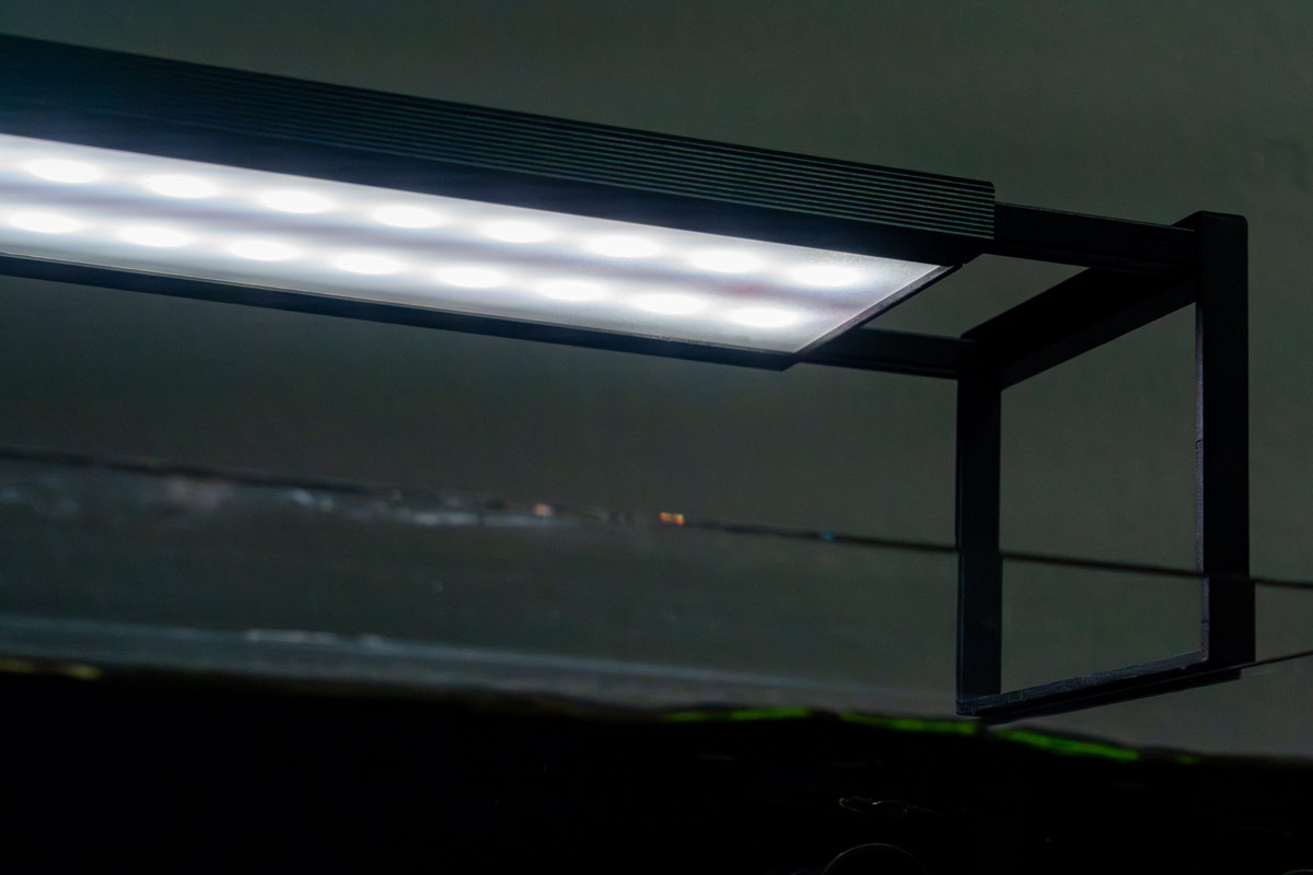 Chihiros WRGB II SLIM Edition LED Light - Buce Plant