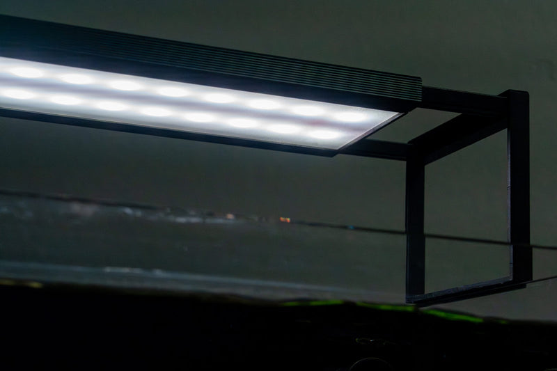 Chihiros WRGB II SLIM Edition LED aquarium light with adjustable spectrum and slim design, mounted over a fish tank.