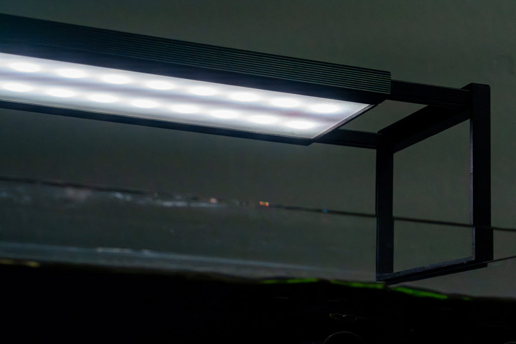 Chihiros WRGB II SLIM Edition LED Light — Buce Plant
