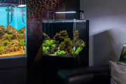 Chihiros WRGB II SLIM Edition LED light for aquariums, slim design with adjustable color spectrum and bright illumination.