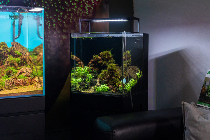 Chihiros WRGB II SLIM Edition LED light for aquariums, slim design with adjustable color spectrum and bright illumination.