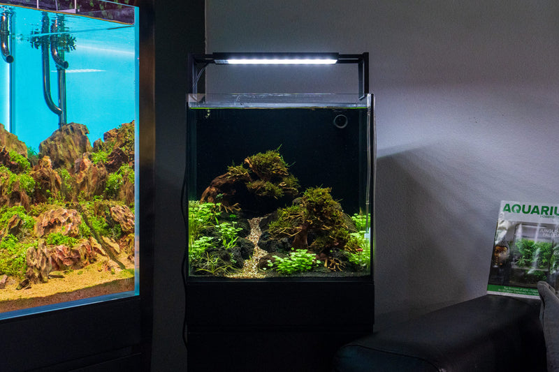 Chihiros WRGB II SLIM Edition LED light for aquariums, slim design with customizable RGB lighting options