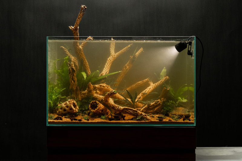 Chihiros Z Light Tiny LED lighting device with adjustable settings and compact design for aquarium illumination.