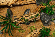Natural Cholla Driftwood Sticks by ASA, showcasing their twisted, textured wood pieces ideal for decor or aquariums.