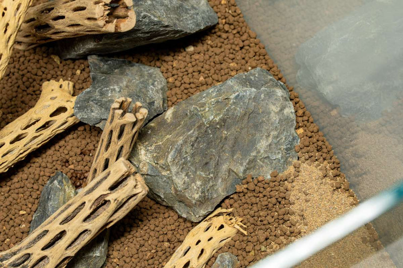 Natural cholla driftwood sticks from ASA, showing twisted, textured wood pieces ideal for crafts or aquarium decoration.