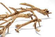 UNSHARDSCAPE Cholla Driftwood Tree sculpture featuring natural driftwood branches arranged in a tree shape.