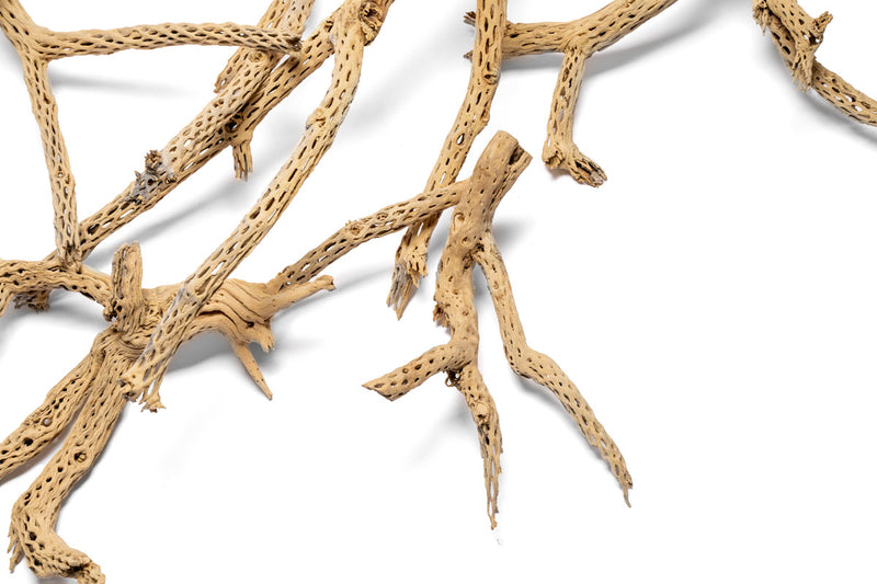UNSHARDSCAPE Cholla Driftwood Tree featuring natural twisted driftwood pieces arranged artistically for home decor.