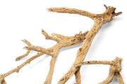 UNSHARDSCAPE Cholla Driftwood Tree with intricate twisted branches and natural wood texture, suitable for decorative displays.