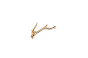 UNSHARDSCAPE Cholla Driftwood Tree with intertwined driftwood branches on a natural wooden base.