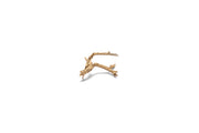 UNSHARDSCAPE Cholla Driftwood Tree featuring natural driftwood branches arranged in a decorative tree form.