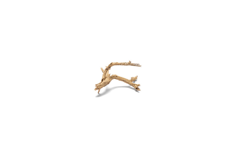 UNSHARDSCAPE Cholla Driftwood Tree featuring natural driftwood branches arranged in a decorative tree form.