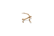 UNSHARDSCAPE Cholla Driftwood Tree with twisted driftwood branches on a natural base, decorative ocean-inspired wood sculpture
