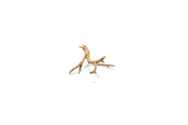 Small Cholla Driftwood Tree by UNSHARDSCAPE featuring natural driftwood branches arranged in a decorative tree form.