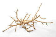 UNSHARDSCAPE Cholla Driftwood Tree featuring natural driftwood branches arranged in a tree shape on a neutral background