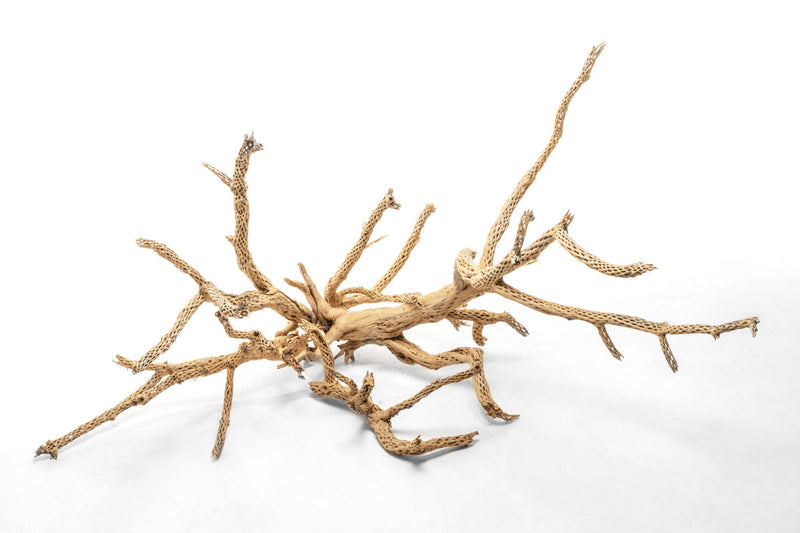 UNSHARDSCAPE Cholla Driftwood Tree featuring natural driftwood branches arranged in a tree shape on a neutral background