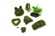Heart Shaped Christmas Moss Wreath Aquatic Plant - Buce Plant