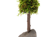 Aquatic Christmas Moss Tree by ACW, lush green aquatic plant shaped like a Christmas tree for aquarium decoration.