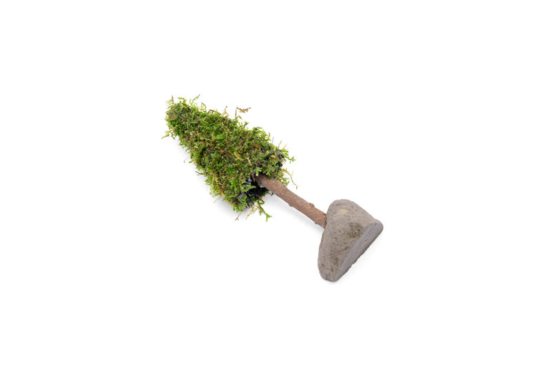 Aquatic Christmas Moss Tree by ACW, lush green aquatic plant with moss-covered branches for aquarium decoration.
