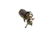 Cryptocoryne Wendtii Brown aquatic plant from CPA with brown leaves, suitable for freshwater aquariums.